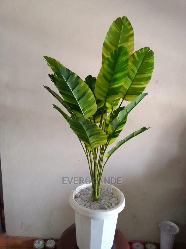 Artificial Flowers (Banana Plant)