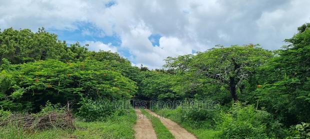 Land on Sale,Kuruwitu Vipingo - thumbnail 4