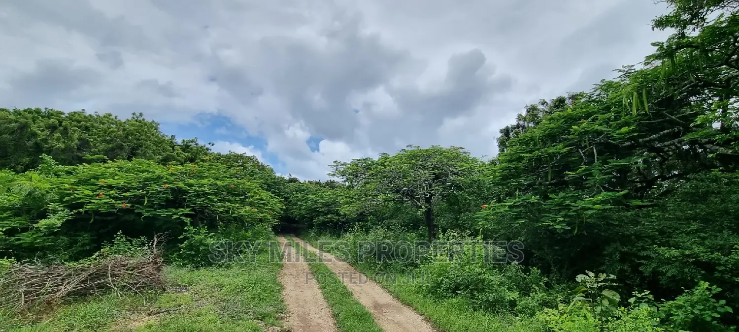 Land on Sale,Kuruwitu Vipingo