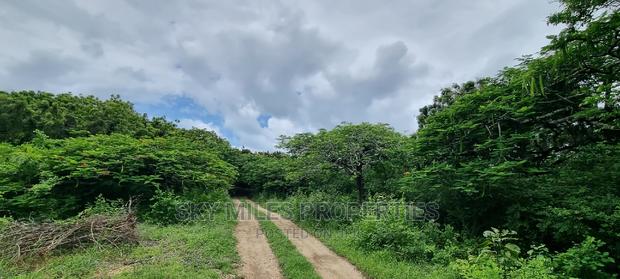 Land on Sale,Kuruwitu Vipingo - thumbnail 5