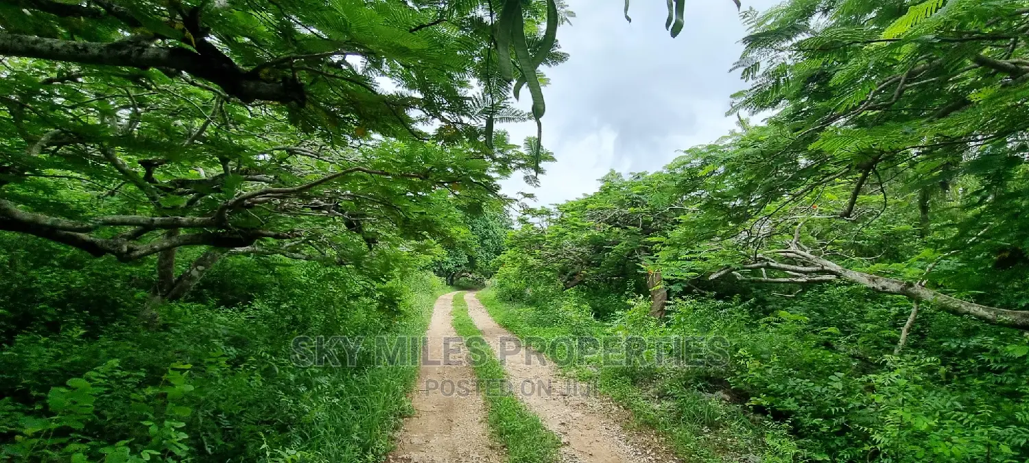 Land on Sale,Kuruwitu Vipingo