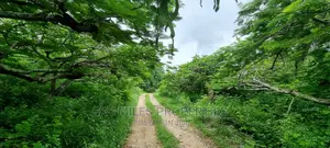 Land on Sale,Kuruwitu Vipingo