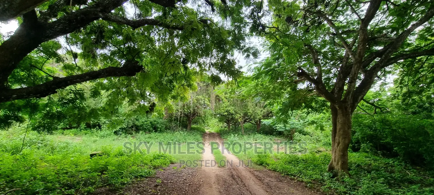 Land on Sale,Kuruwitu Vipingo
