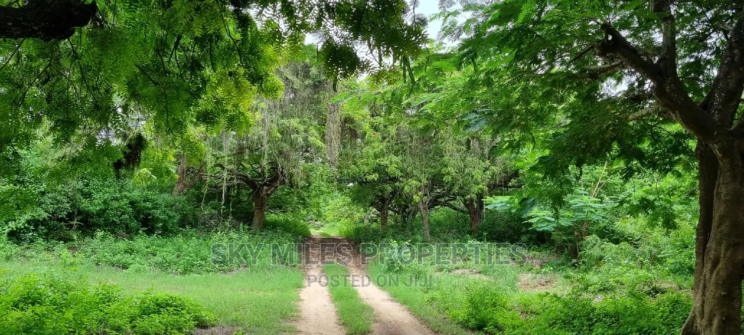 Land on Sale,Kuruwitu Vipingo