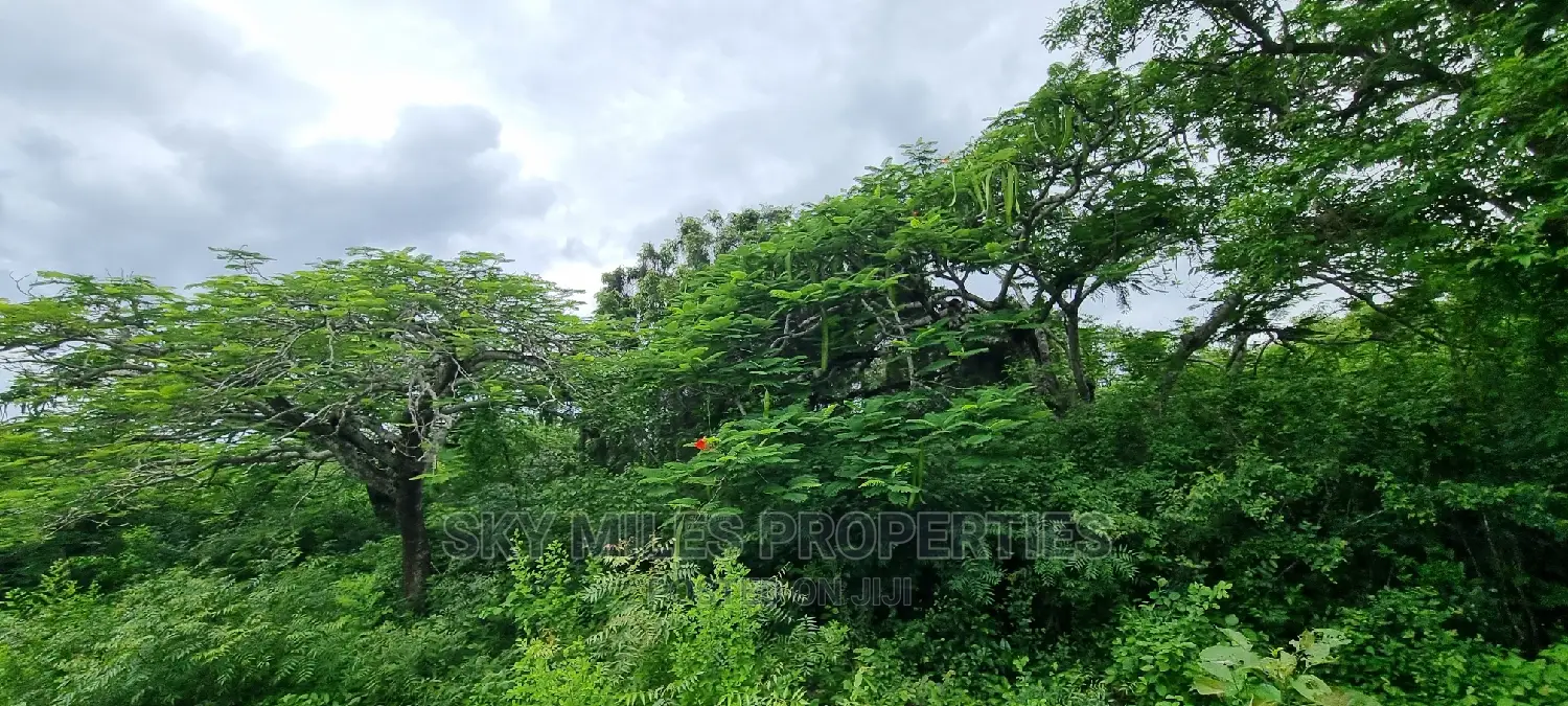 Land on Sale,Kuruwitu Vipingo