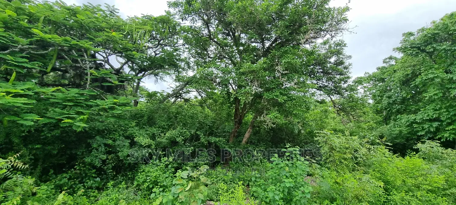 Land on Sale,Kuruwitu Vipingo