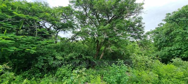 Land on Sale,Kuruwitu Vipingo - thumbnail 10