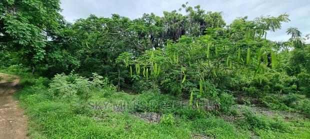 Land on Sale,Kuruwitu Vipingo - thumbnail 12