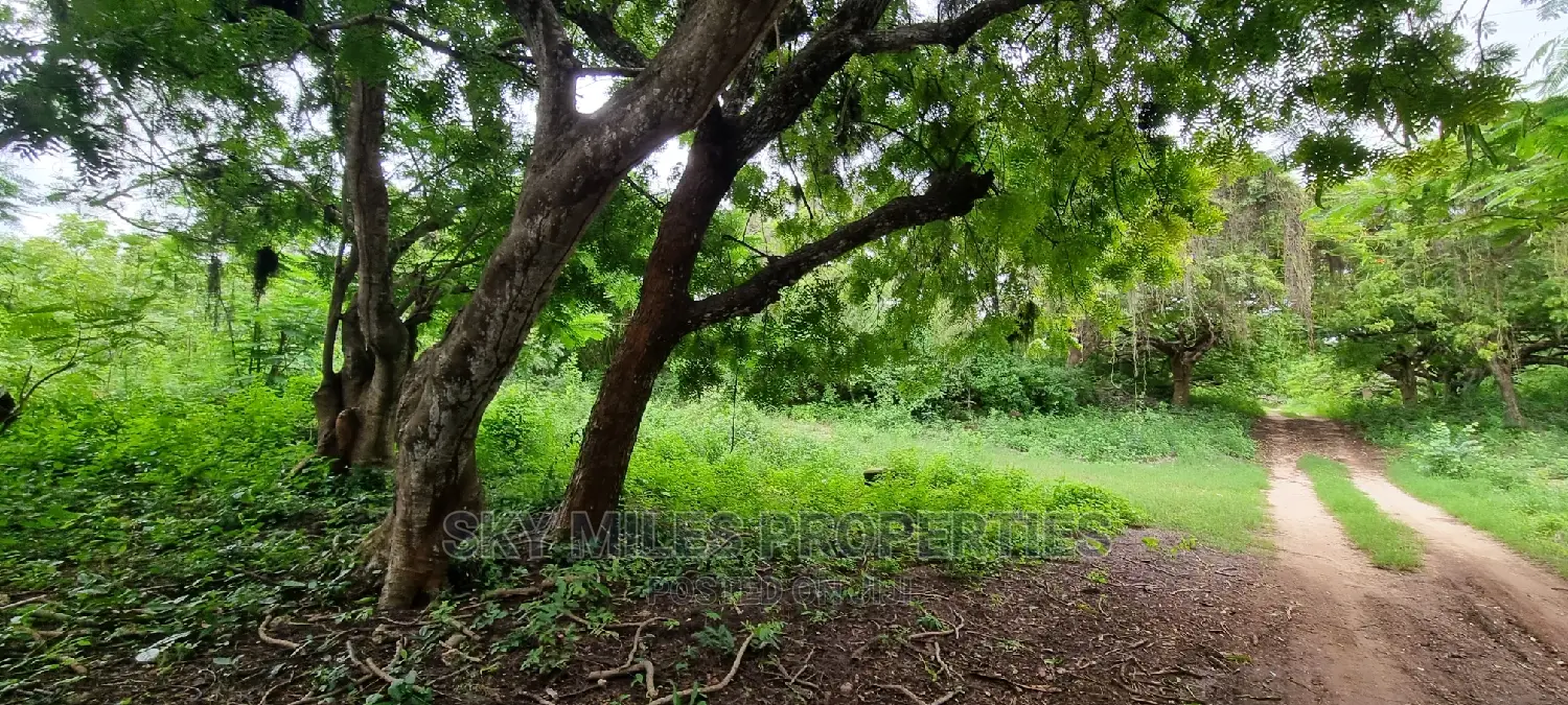 Land on Sale,Kuruwitu Vipingo