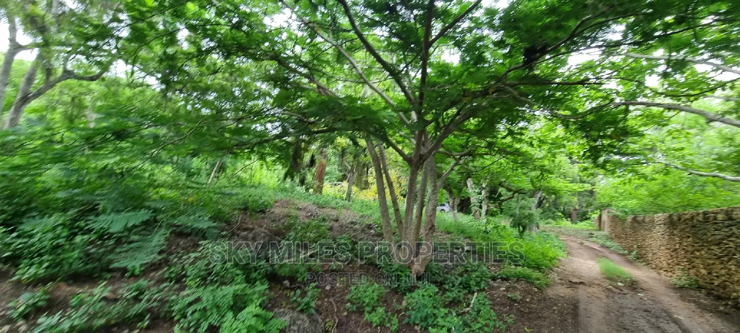Land on Sale,Kuruwitu Vipingo