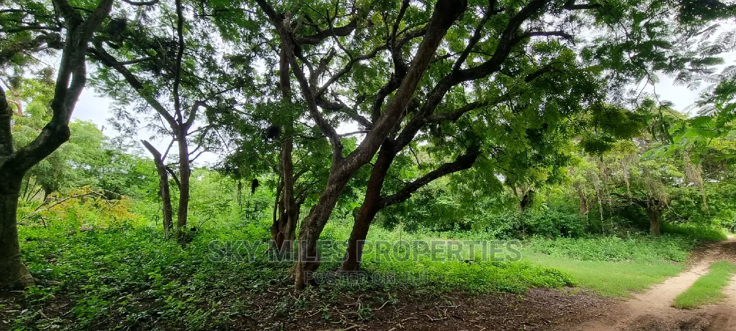 Land on Sale,Kuruwitu Vipingo