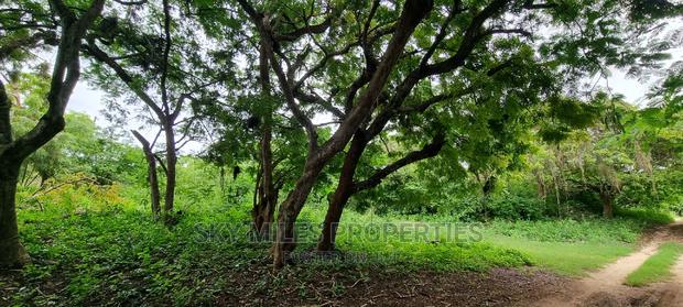Land on Sale,Kuruwitu Vipingo - thumbnail 17
