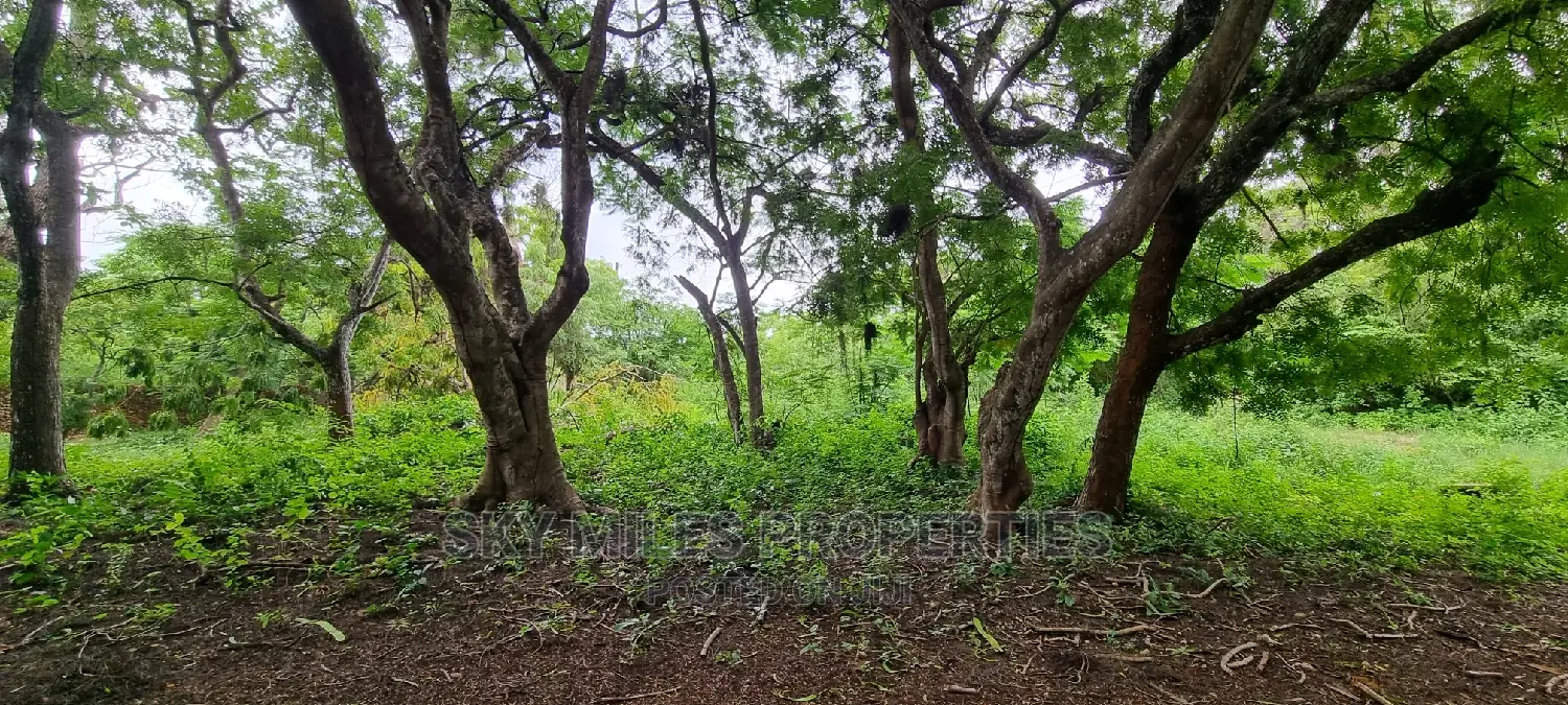 Land on Sale,Kuruwitu Vipingo