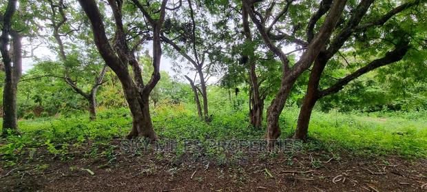 Land on Sale,Kuruwitu Vipingo - thumbnail 18