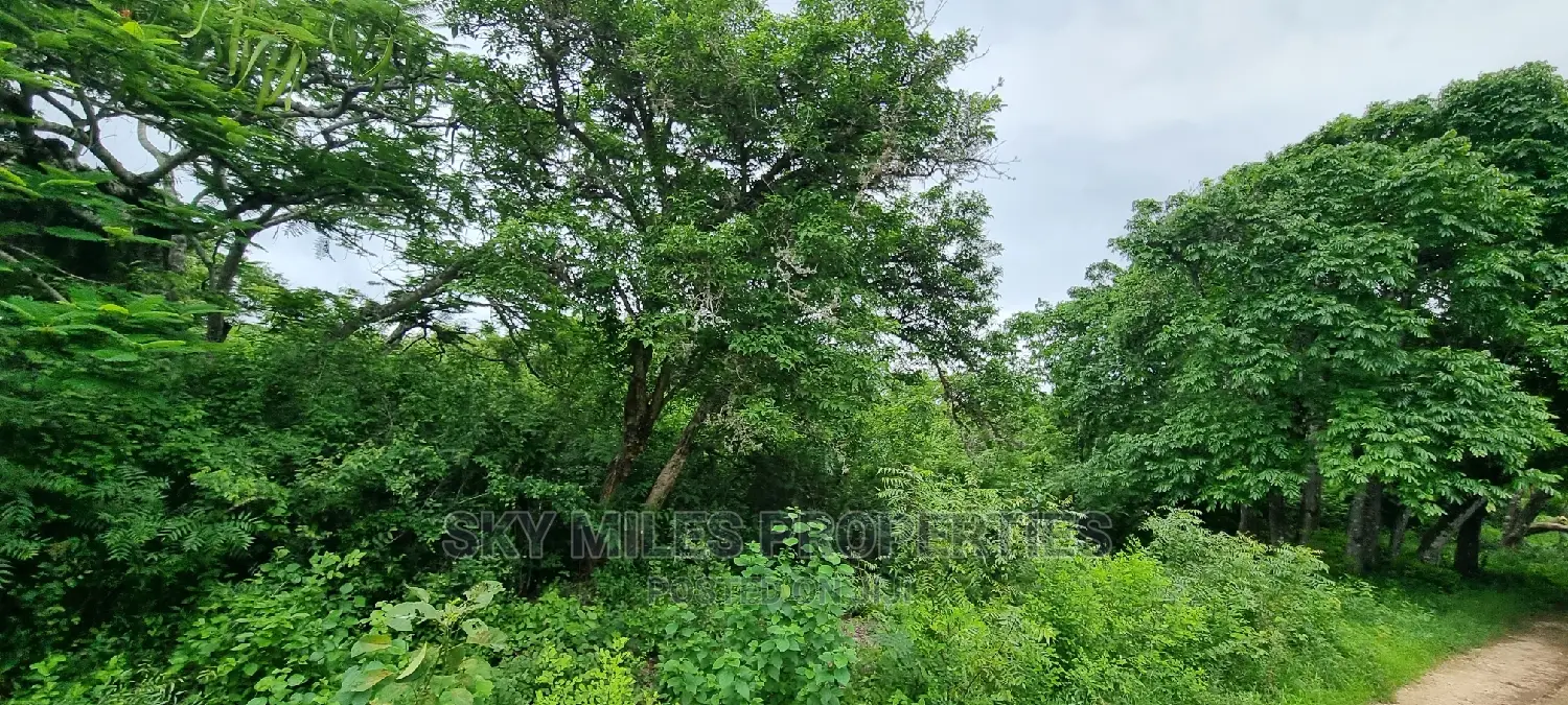 Land on Sale,Kuruwitu Vipingo