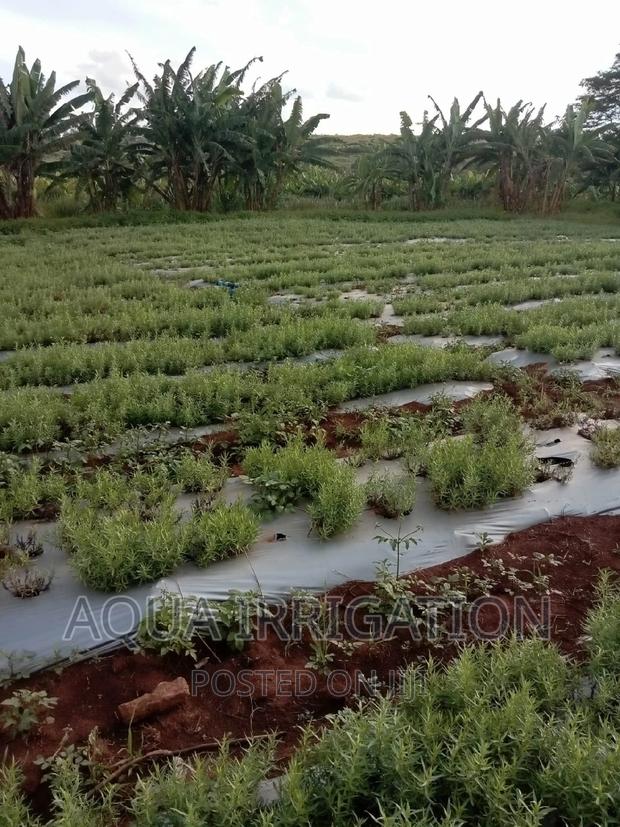 Mulch Film - main view