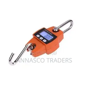 300KGS Industrial Crane Digital Weighing Scale