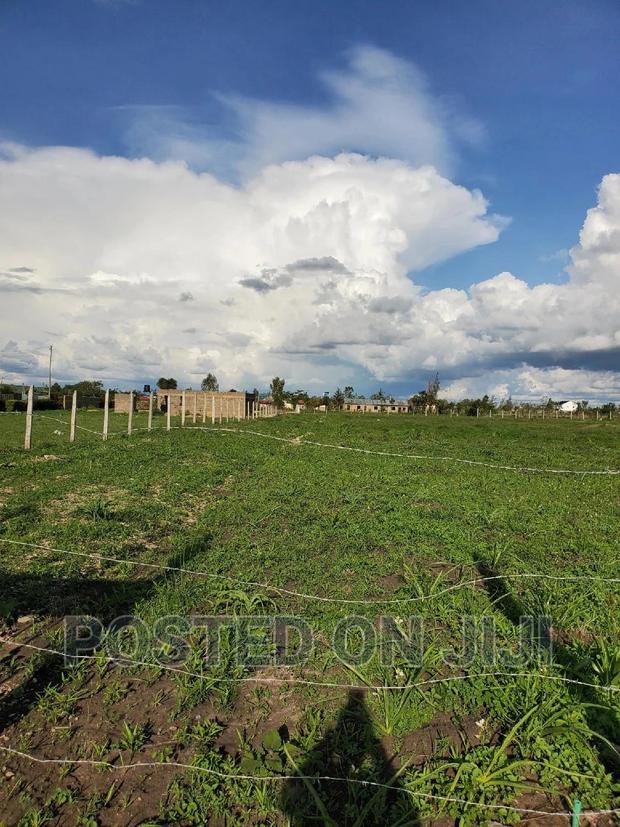 Joska Plots. ^ Em - main view