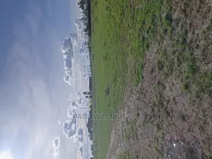 Plot at Kantafu Kwa Kuku