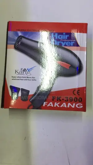 FK-3900 Hair Dryer