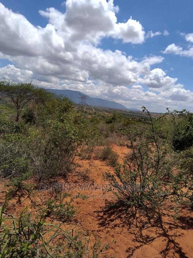 50 by 100 Plot for Sale - thumbnail 2