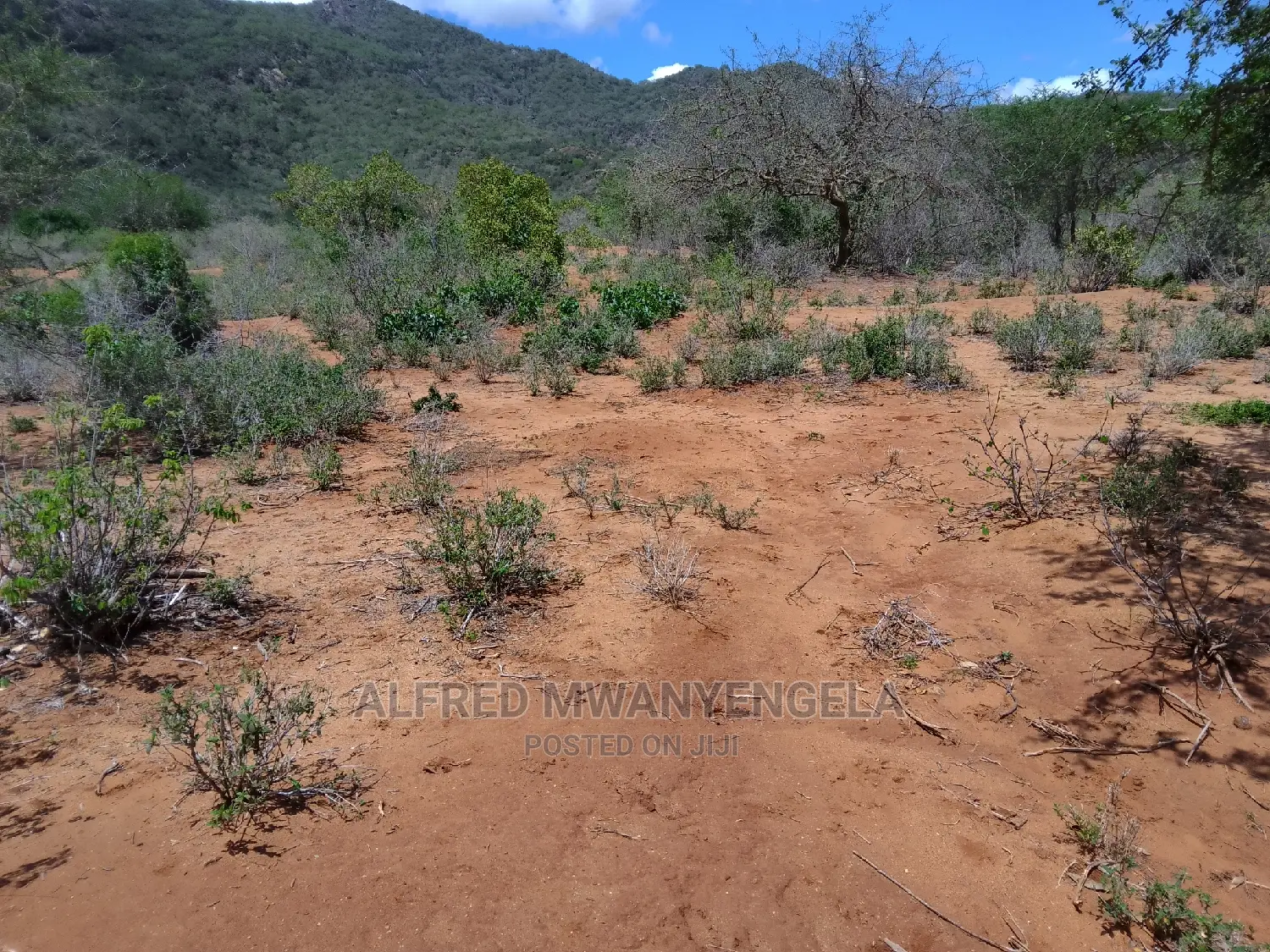50 by 100 Plot for Sale