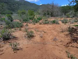 50 by 100 Plot for Sale