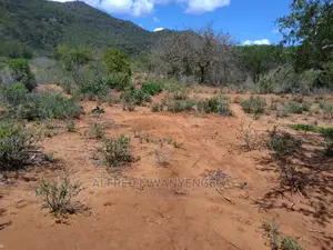 50 by 100 Plot for Sale