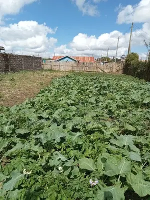 Plot With a House on Sale at Magumu Kinangop