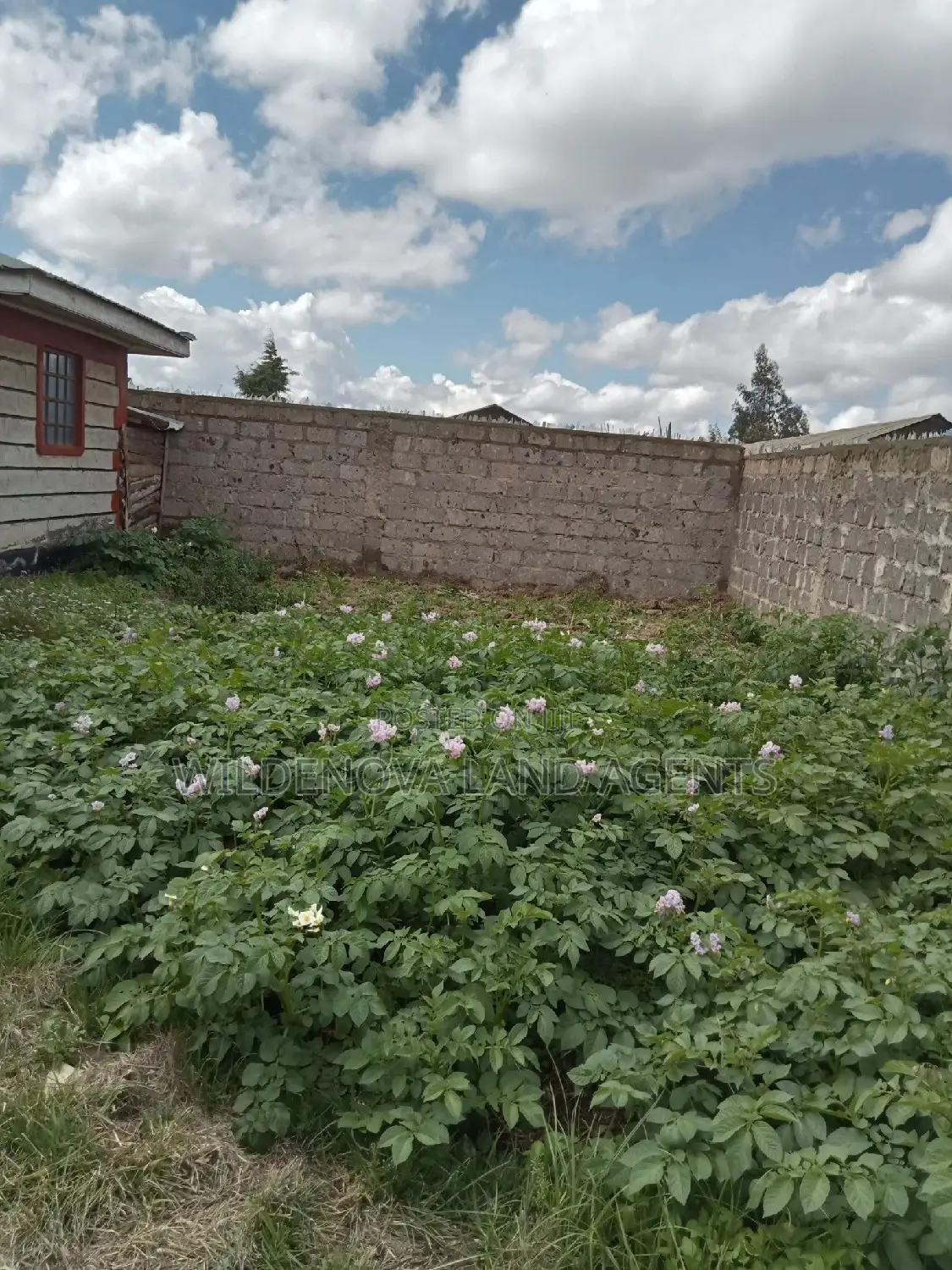 Plot With a House on Sale at Magumu Kinangop