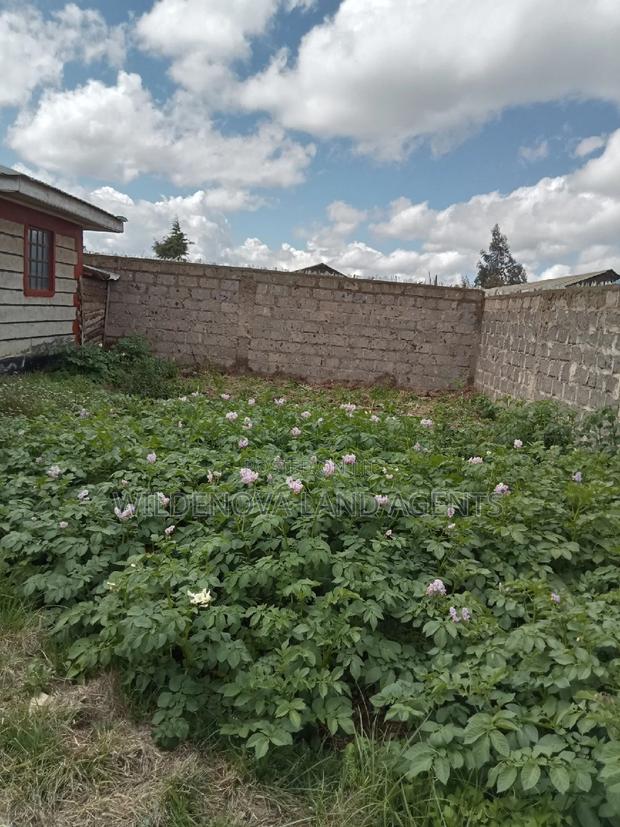 Plot With a House on Sale at Magumu Kinangop - thumbnail 15