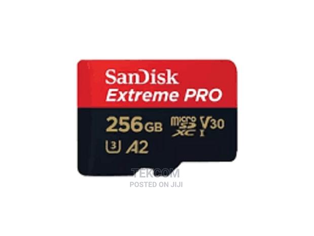 Sandisk Extreme PRO 256GB Microsdxc - main view