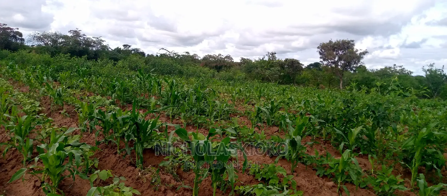 Developed Land for Settlement.