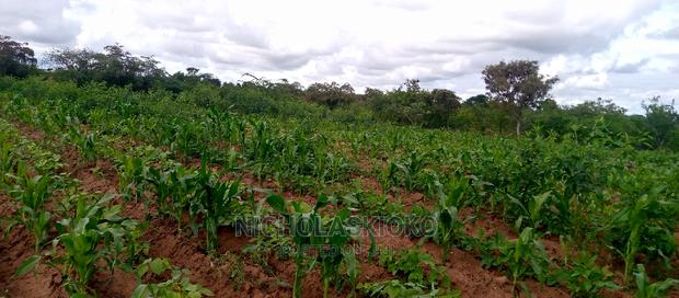 Developed Land for Settlement. - thumbnail 3