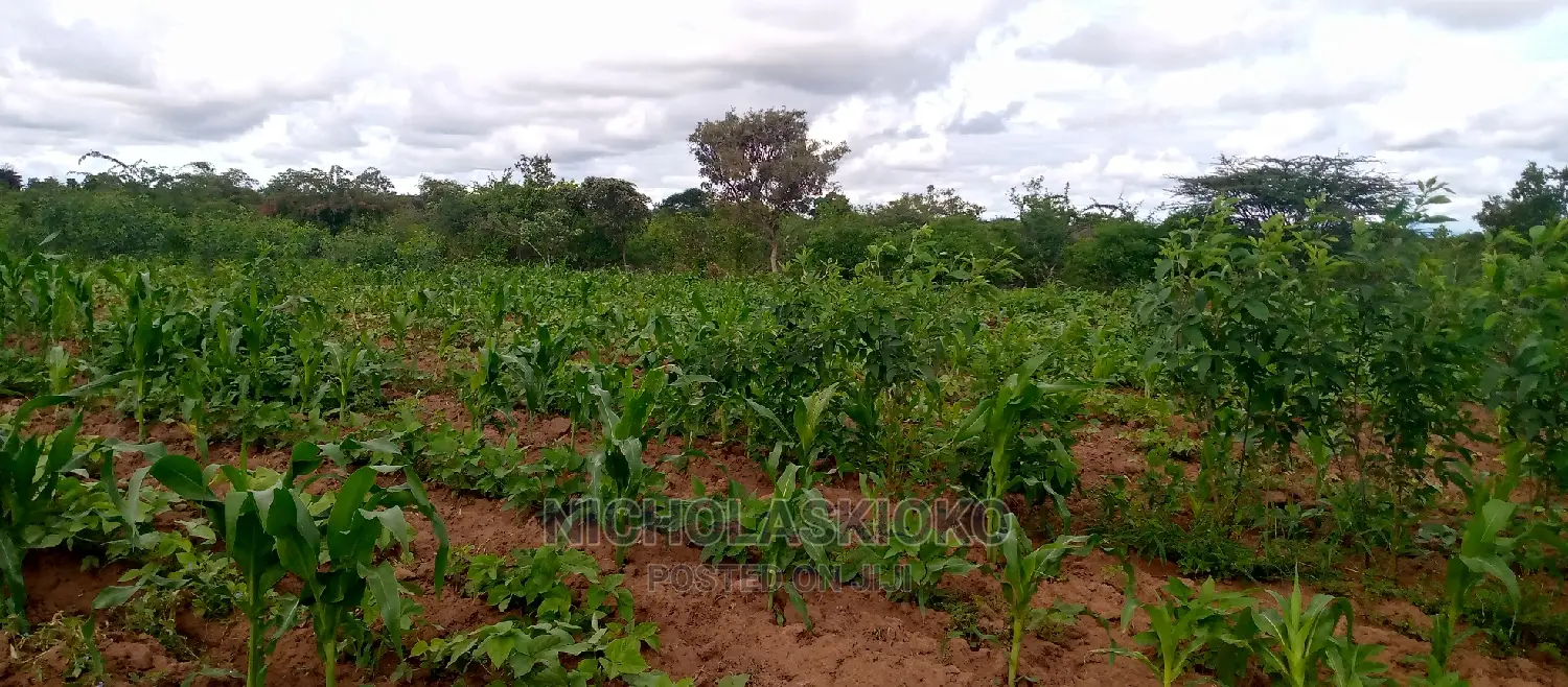 Developed Land for Settlement.