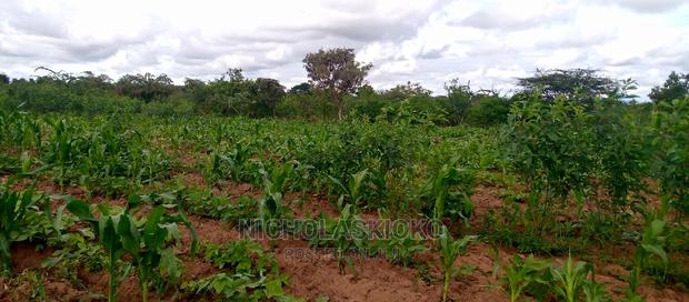 Developed Land for Settlement. - thumbnail 2