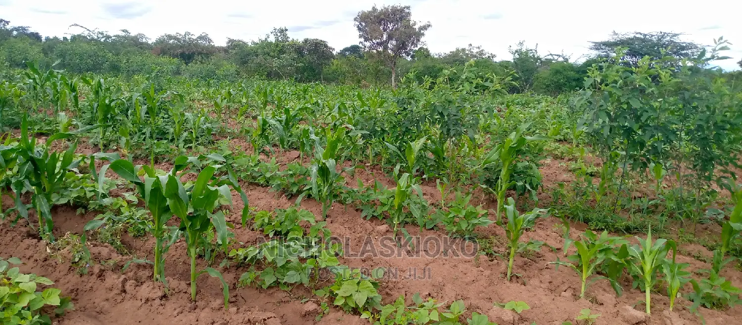 Developed Land for Settlement.