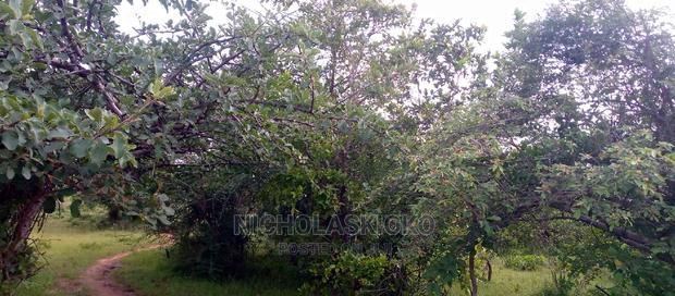 Developed Land for Settlement. - thumbnail 10