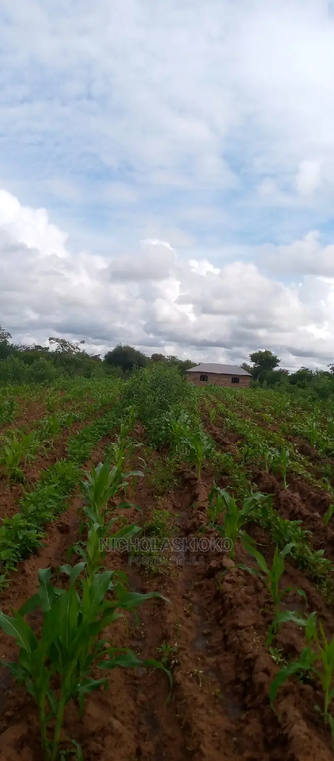Developed Land for Settlement.