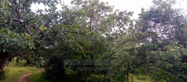 Developed Land for Settlement. - thumbnail 11