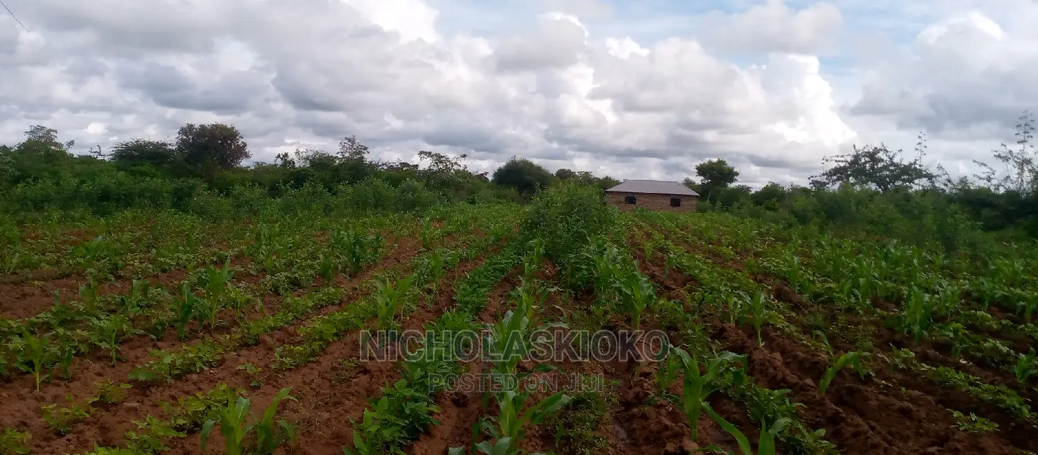Developed Land for Settlement.
