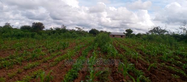 Developed Land for Settlement. - thumbnail 14