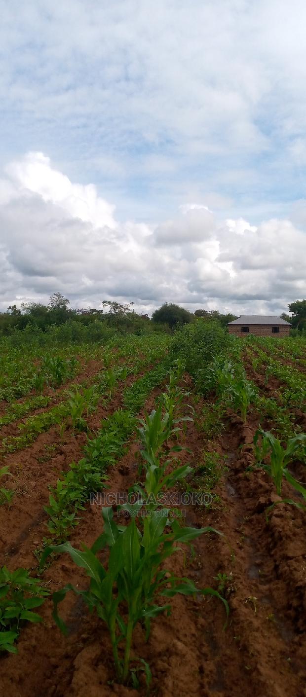 Developed Land for Settlement. - thumbnail 12