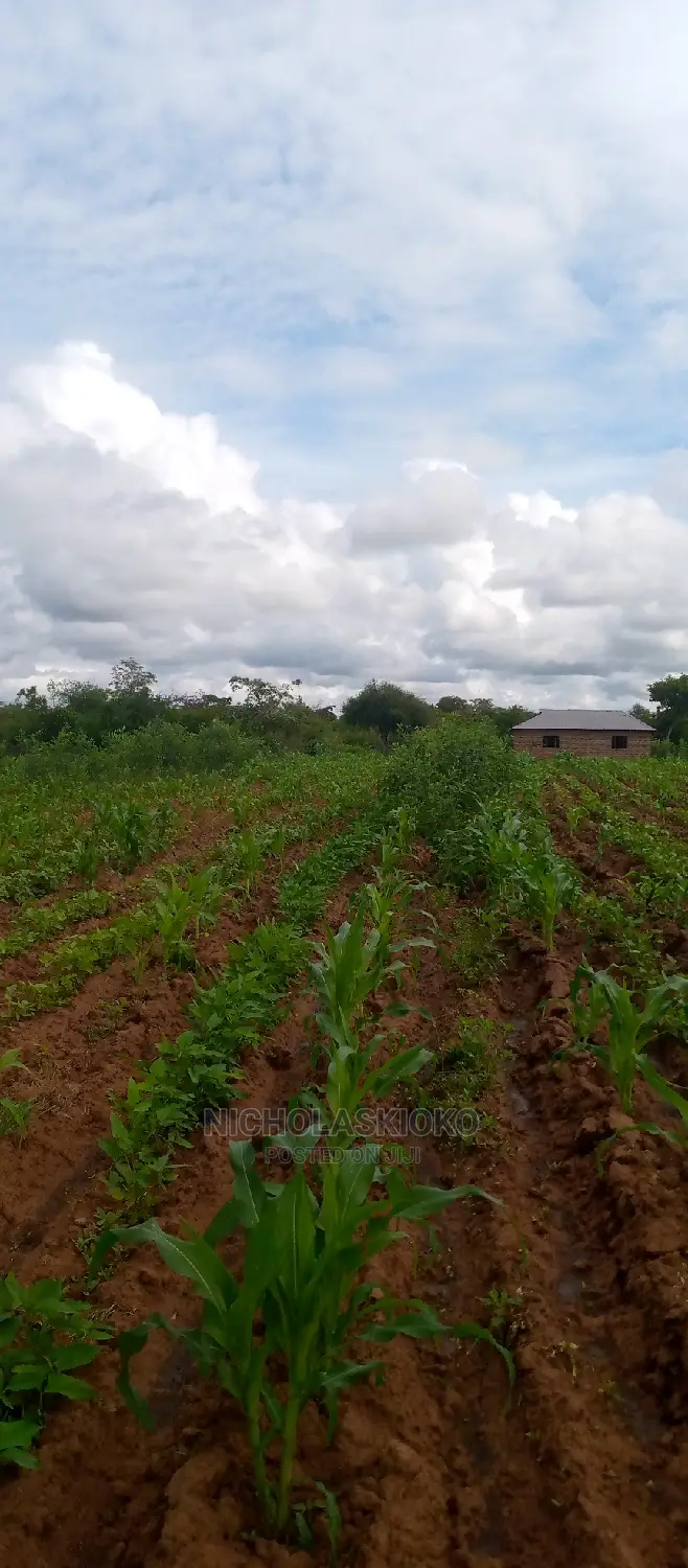 Developed Land for Settlement.
