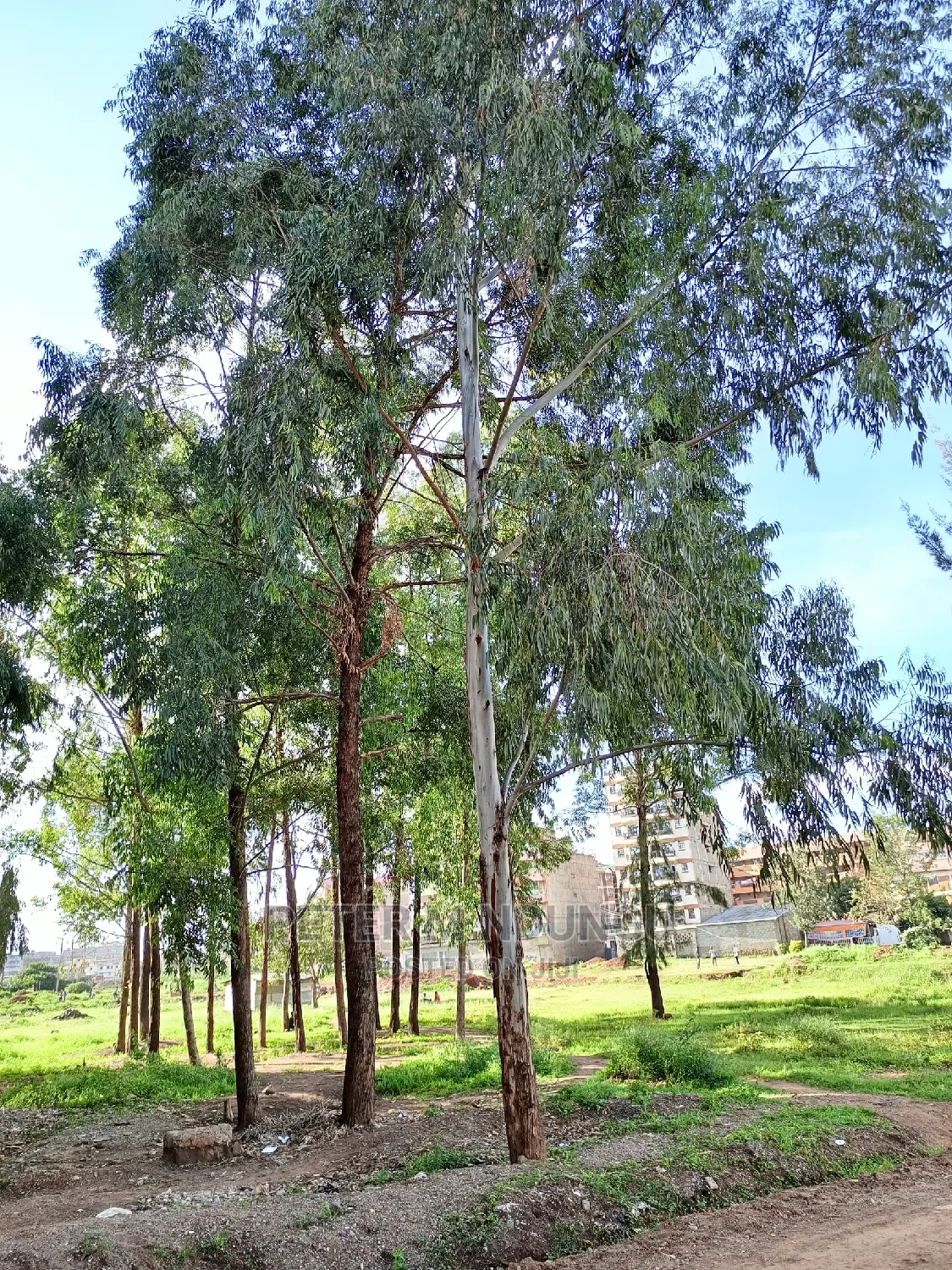 Kasarani Plot on Sale, Clay Works