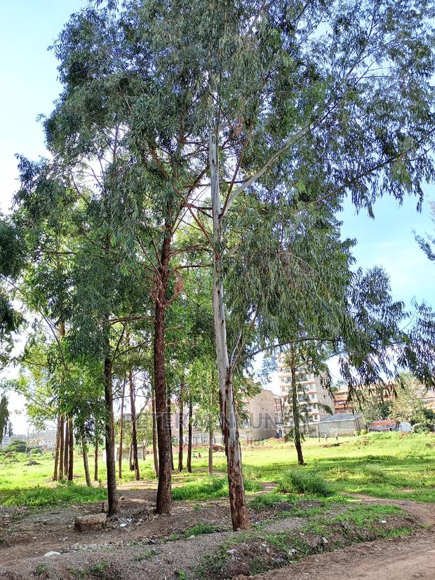 Kasarani Plot on Sale, Clay Works - thumbnail 7