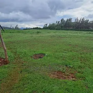 3/4 Acres for Sale in Ngong Kibiko