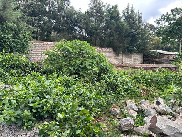 Prime Commercial Plot in Kikuyu Town (Fronting the Tarmac). - thumbnail 8