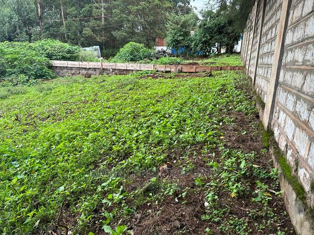 Prime Commercial Plot in Kikuyu Town (Fronting the Tarmac). - thumbnail 2