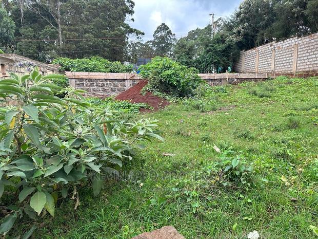 Prime Commercial Plot in Kikuyu Town (Fronting the Tarmac). - thumbnail 6